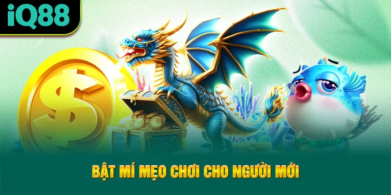 bat-mi-meo-choi-cho-nguoi-moi