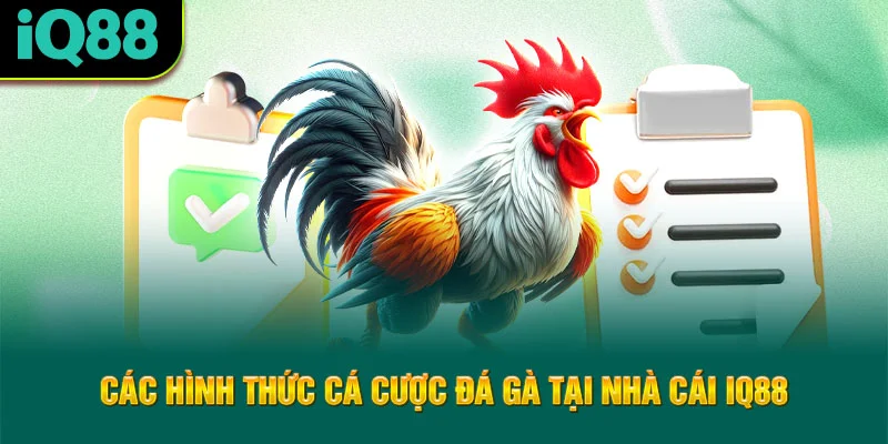 cac-hinh-thuc-ca-cuoc-da-ga-tai-nha-cai-iq88