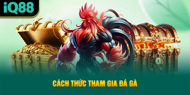 cach-thuc-tham-gia-da-ga
