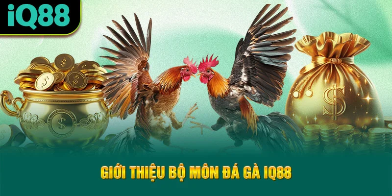 gioi-thieu-bo-mon-da-ga-iq88