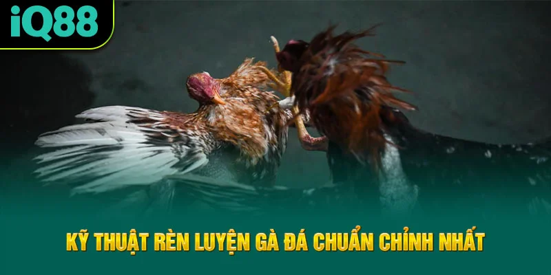 ky-thuat-ren-luyen-ga-da-chuan-chinh-nhat