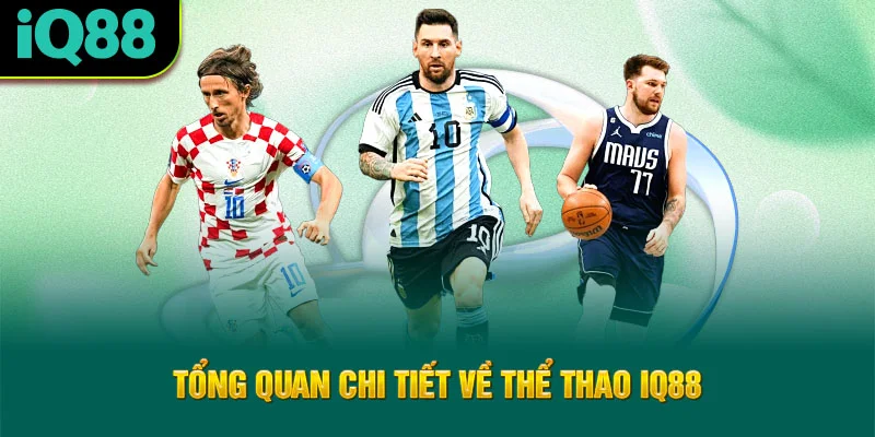 tong-quan-chi-tiet-ve-the-thao-iq88