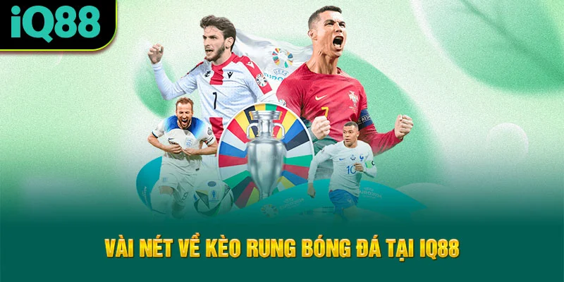 vai-net-ve-keo-rung-bong-da-tai-iq88